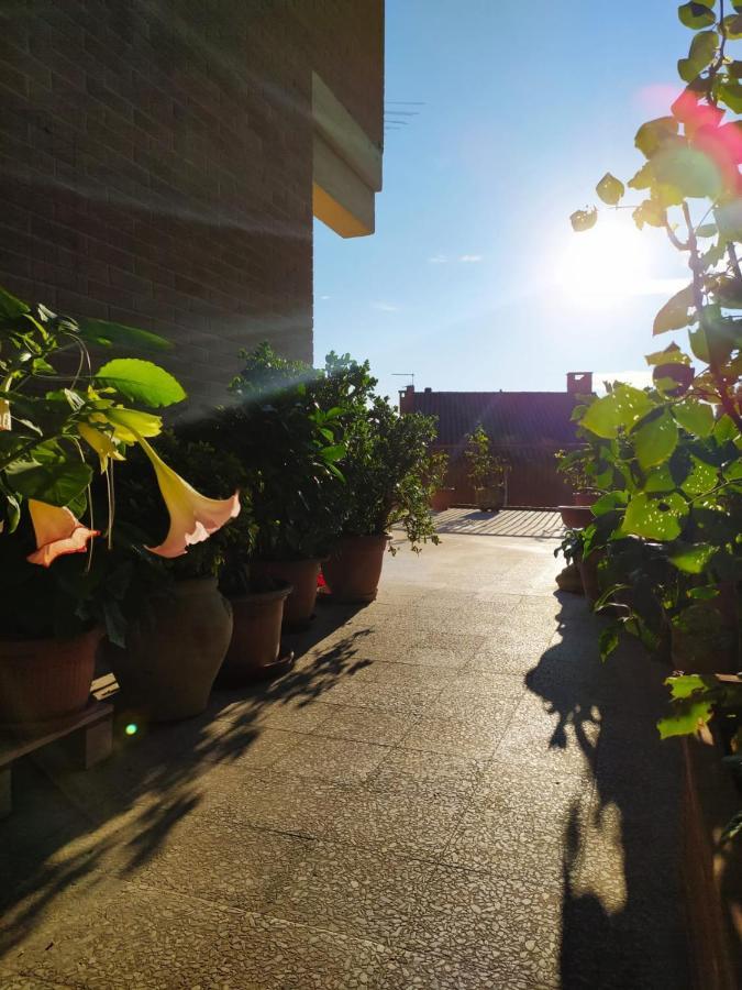 Residenza Damiano Hotel Assisi Buitenkant foto